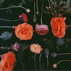 Meet your Posher, Leslie